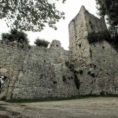 Mosca Bianca 2*