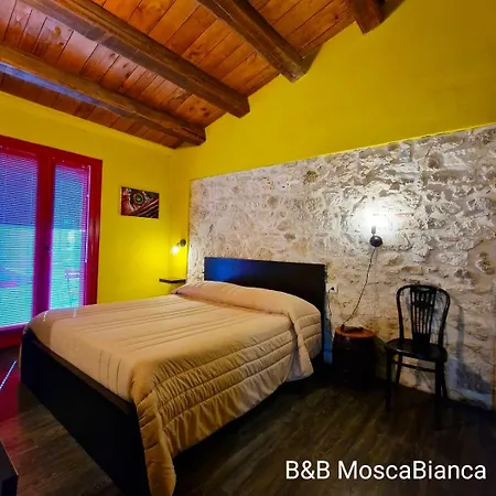 Mosca Bianca אסקולי פיצ'נו