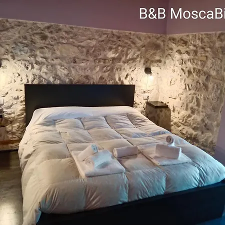 Mosca Bianca