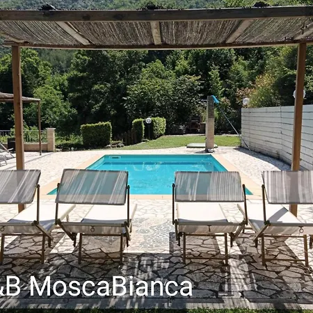Mosca Bianca Bed & Breakfast 2*