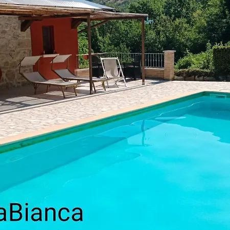 Mosca Bianca 2*